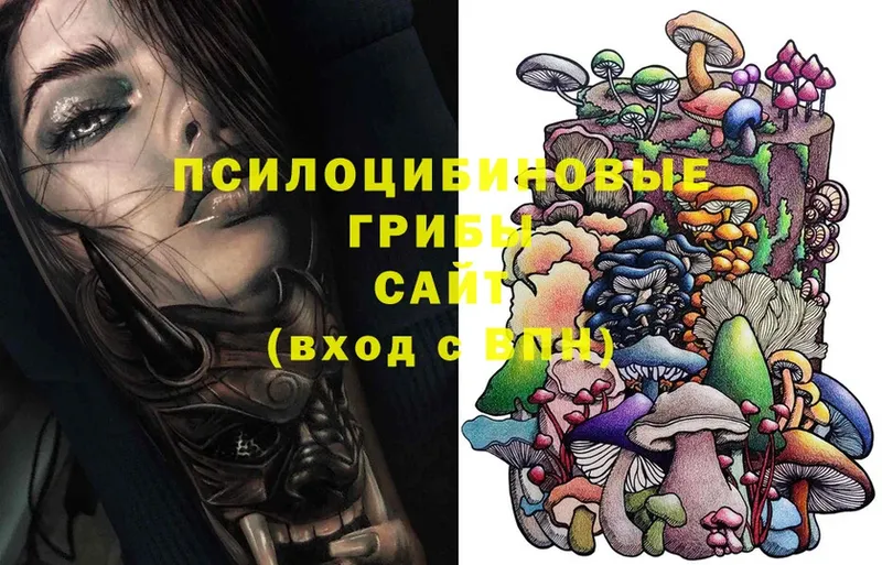 Галлюциногенные грибы Magic Shrooms  Асбест 